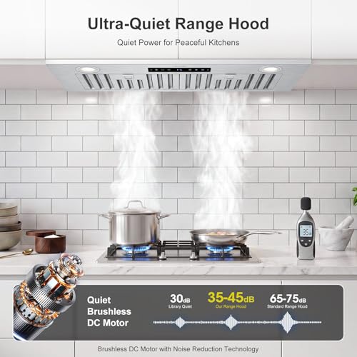 Ducted/Ductless Convertible Built-in Range Hood