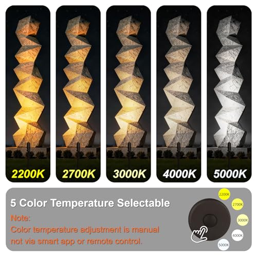 60° Beam Angle