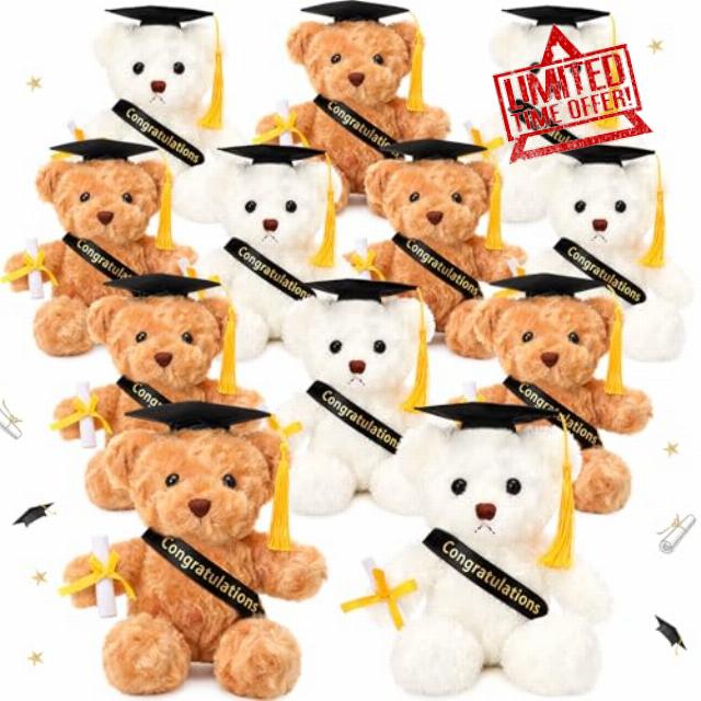 Hungdao 12 Pcs Graduation Stuffed Bears Bulk 10 Inch Plush Bear with Graduation Hats Sashes and Diplomas Ideal Gifts for Boys and Girls School College Elementary Gifts (Black)