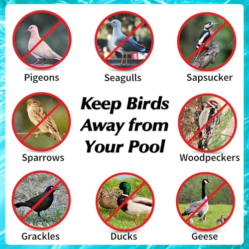 Keep Birds/Ducks/Heron/Pigeons/Goose/Woodpecker/Crow/Sparrow Away