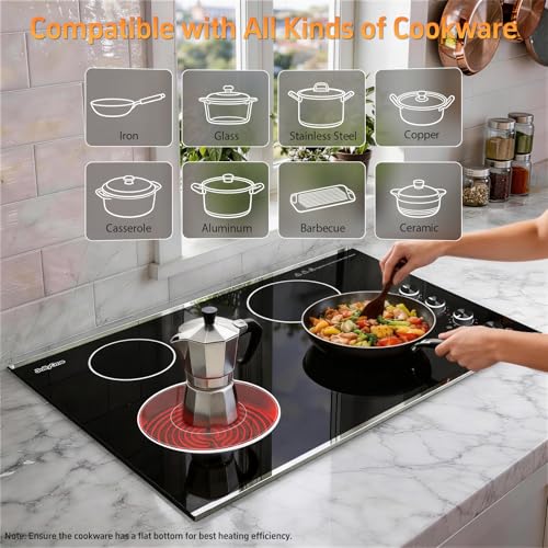 220V-240V Bulit-in Ceramic Radiant Stove with Multi-Ring Control