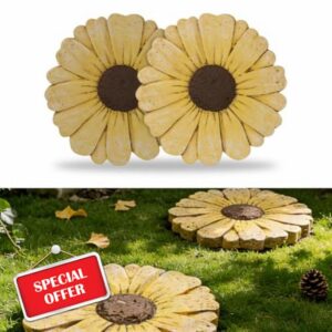 2 Pack Daisy Cement Stepping Stones 10 Inch