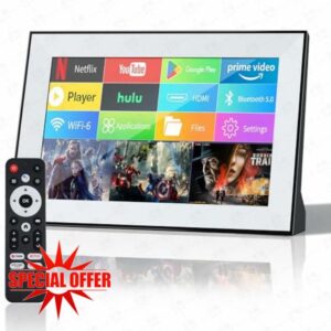 Portable TV
