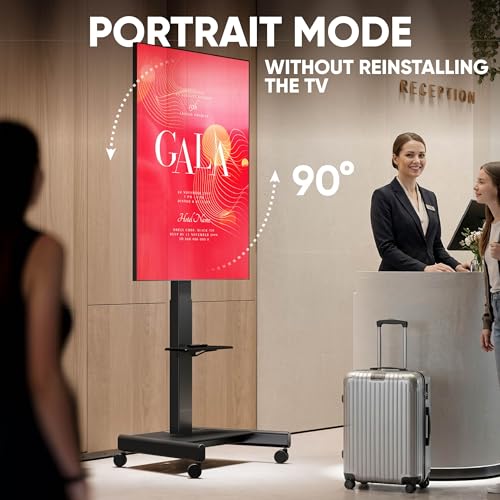 TV Portable Stand Tilt
