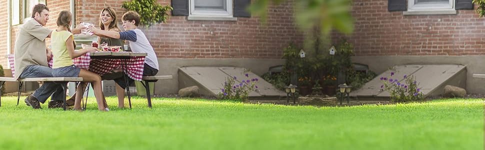 Artificial Grass Turf