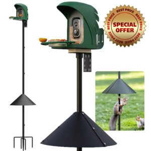 Bird Feeder Pole with Squirrel Baffle