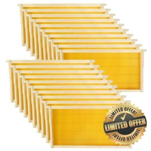 20 Pack Beehive Frames with Beeswax Sheets