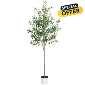 Olive Tree 6FT Fake Tree Faux Plants Indoor with Pot Artificial Tree Nearly Natural Olive Branches and Fruits for Living Room Home Office Decorations