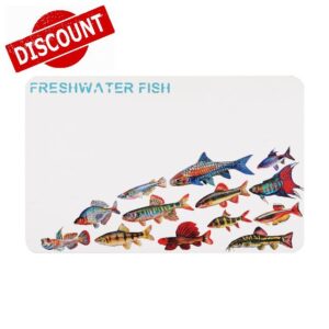Diatomite Bath Mat 23.6x15.4 Inches with Freshwater Fish Pattern