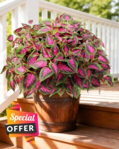 6 Pc Artificial Plants Outdoor