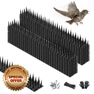 Bird Spikes