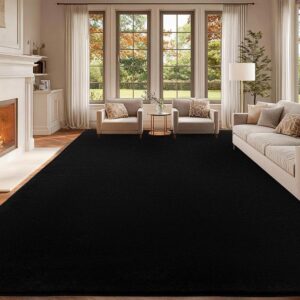 qulint Black Rug for Living Room