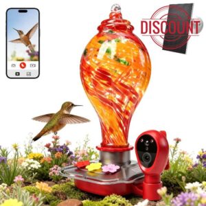Hand-Blown Glass Smart Hummingbird Feeder with Camera