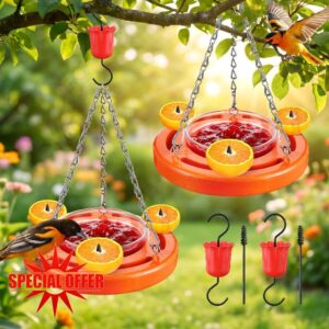 Oriole Feeder