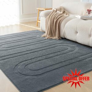 Amazon Basics Indoor Area Rugs