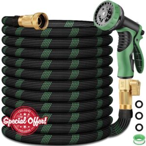 100 ft Garden Hose