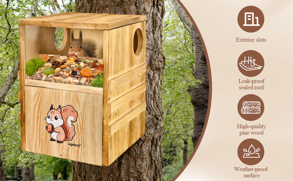 squirrel house