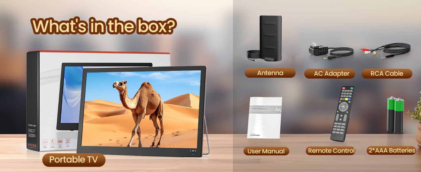 17 inch portable tv