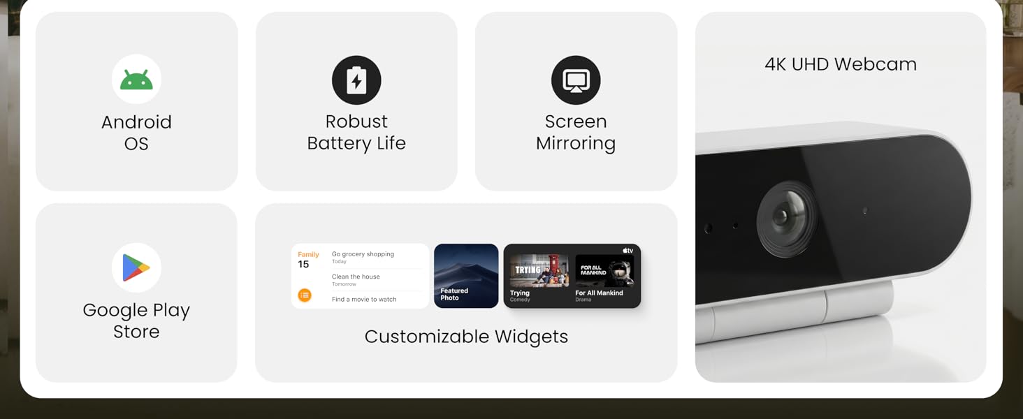 portable tv