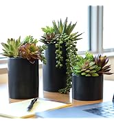 SEEKO Succulents Artificial Plants (2 Pack) Indoor Fake Desk Plants for Shelf Decor