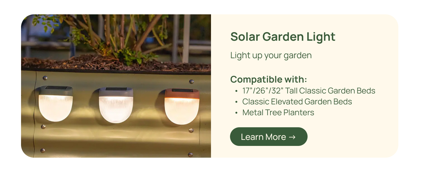 Garden Lights