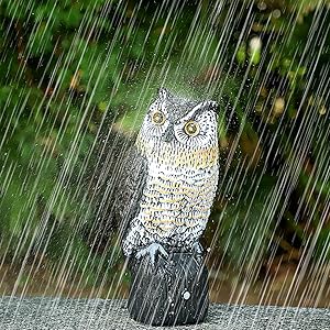 bird decoy