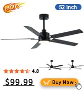 ceiling fan