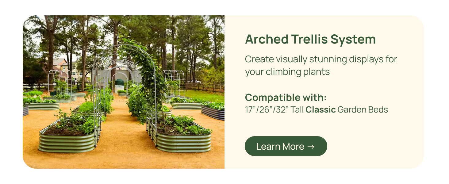 Arched Trellis