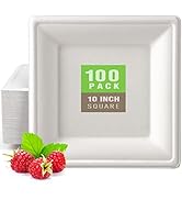 Gezond Compostable Spoons 300 Pack 6.7 Inch Disposable Spoons No Plastic Biodegradable Cutlery Se...