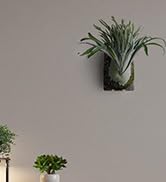 indoor grow lights