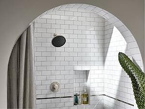 Moen Bathroom Faucets