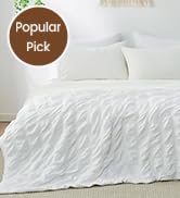 Cozy Bliss Faux Fur Throw Blanket for Couch, Fuzzy Soft Plush Thick Bubble Blanket for Sofa Bedro...