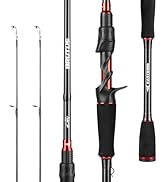 KastKing Lethal Blaze Twin-Tip Fishing Rods, IM6 Graphite Blanks Casting & Spinning Rods, 2-Piece...