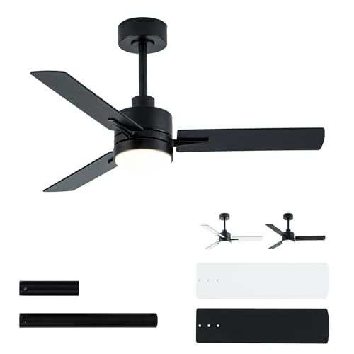 Modern Flush Mount Low Profile with Remote Control