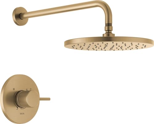 Brushed Gold Shower Head and Handle Set