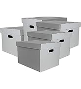 Lineco, RTA Record Storage Carton, 12x 15x 10 Inch, Archival Acid-Free Buffered Double Layered Pa...