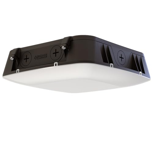 Dusk-to-Dawn Photocell and Motion Sensor Outdoor Lights