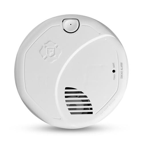 10-Year Sealed Battery Dual Sensor Detector with Test & Silence Button