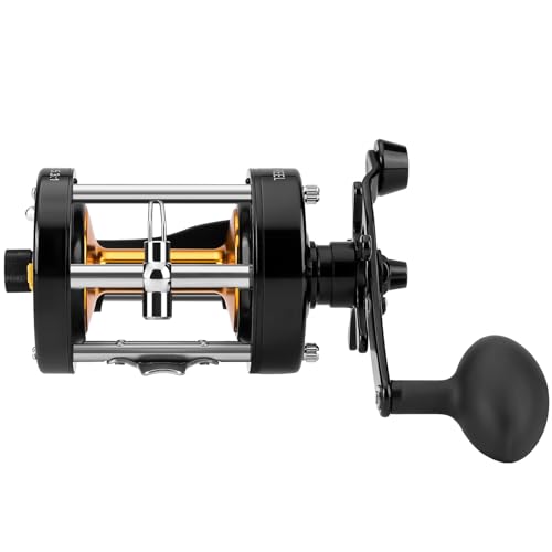 Perfect Conventional Reel for Catfish