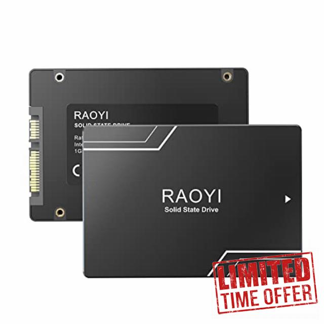 RAOYI 64GB Internal SSD SATA III 2.5” Solid State Drive 3D NAND Flash Advanced SSD Hard Drive Up to 300MB/s SATA 3 SSD Upgrade Performance for PC Laptop