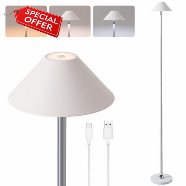 Rechargeable Floor Lamp for Indoor/Outdoor