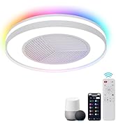 Humhold 24" Low Profile Ceiling Fans with Lights - Smart Bladeless Ceiling Fan with Alexa/Google ...