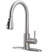 HOTIS Kitchen Faucets, Brushed Nickel Kitchen Faucet with Pull Down Sprayer, Commercial Stainless...