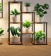 indoor plant grow light