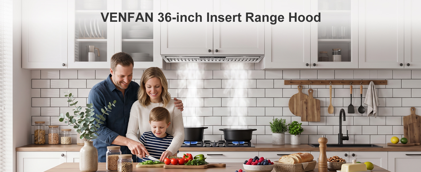 Range Hood Insert