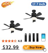 ceiling fan