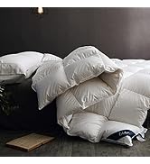 Globon Goose Down Comforter King Size All Season,400 Thread Count Ultra Soft Noiseless Shell,800 ...