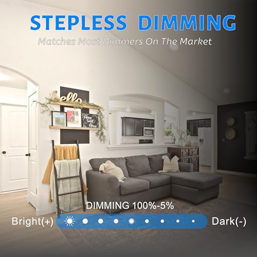 Dimmablel Flush Mount Ceiling Light