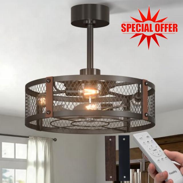 Passky 20 Inch Farmhouse Caged Ceiling Fans with Lights and Remote