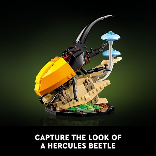 Hercules Beetle and Chinese Mantis Display Models